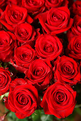 Beautiful bouquet of red roses, seen from above. Spring flowers. Wedding, women's day, mothers day and valentines day background. Selective shallow depth of field.