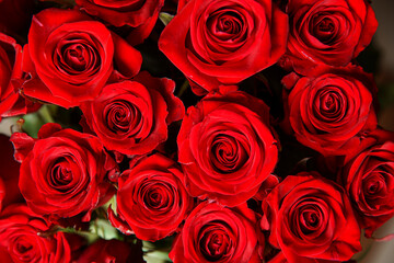 Beautiful bouquet of red roses, seen from above. Spring flowers. Wedding, women's day, mothers day and valentines day background. Selective shallow depth of field.