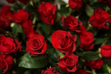 Beautiful bouquet of red roses, seen from above. Spring flowers. Wedding, women's day, mothers day and valentines day background. Selective shallow depth of field.