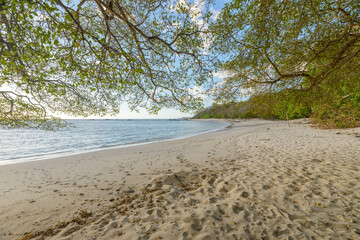 Isolated beach viewed from under the trees