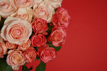 Beautiful white, red, tabby tea rose flowers in a vase, photographed from above on the red table. Spring flowers. Wedding mothers day and valentines day background. Selective small depth of field.