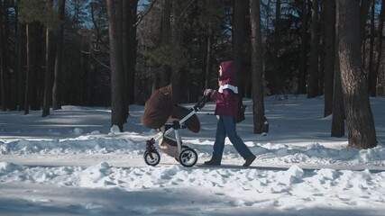 Young mother walks with her baby in a stroller in the woods. Winter