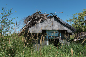 abandoned overgrown dilapidated old wooden building