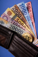 Several Hungarian forint paper money denominations, with gold bitcoin digital cryptocurrency coin on a blue background, in a wallet. Bank image and photo.