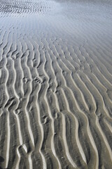 Mixing sea with sand close to the dunes
