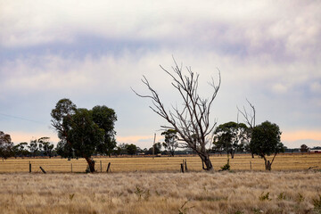 Beautiful sunset view of country landscape scene on farm