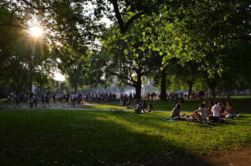 London Fields, Hackney, Summer Evening. - obrazy, fototapety, plakaty
