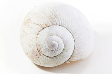 Makro