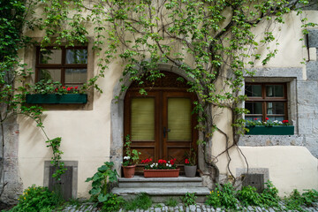 Lively Old European door front with many plants
