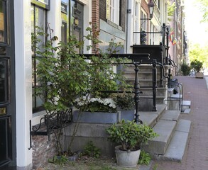 Fototapeta na wymiar Amsterdam Canal House Entrance with Steps, Railing and Plants