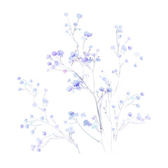 Flowers watercolor illustration.Manual composition.Big Set watercolor elements，Design for textile, wallpapers，Element for design,Greeting card