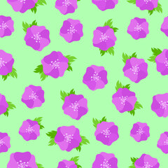 Simple spring vector pattern. Pink flowers on a green background.