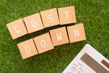 コストダウン | 「COST DOWN」と書かれた積み木ブロックと硬貨