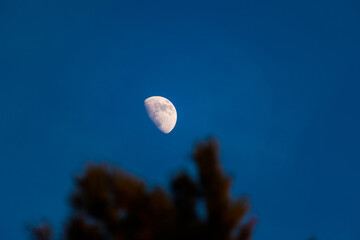 księżyc, moon © Daniel