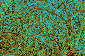 Marbled paint background