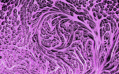 Marbled paint background