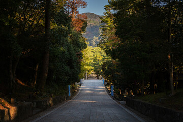 Fototapeta premium 出雲大社参道 島根県出雲市