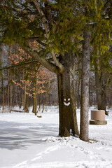 Happy Winter Tree