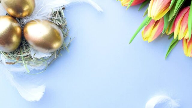 Egg color. Happy Easter decoration: golden colour eggs in basket with spring tulips, white feathers on pastel blue background. Foil minimalist egg design, modern top view template