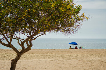 A couple enjoy a summer day on a lonely beach under a tree