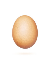 Chicken Egg on white background