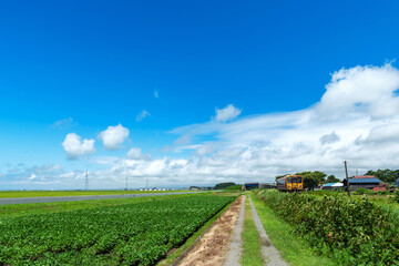 【青森県津軽地方】津軽の農村、田園地帯