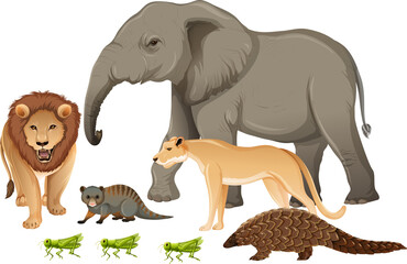 Group of wild african animal on white background