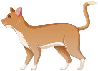 Cute cat isolated cartoon character