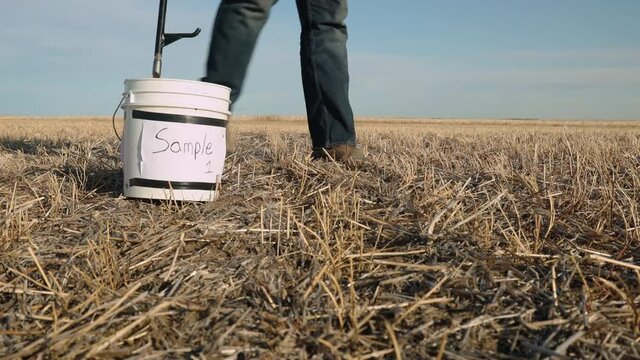 Agronomist takes soil sample from the ground for analysis, medium shot