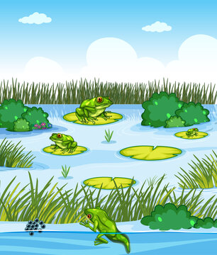 Pond scene with many frogs and plants element