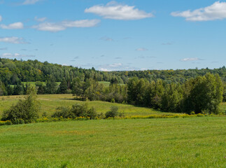 Fototapeta premium Farm fields
