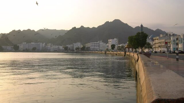 Mutrah corniche morning sunrise view with seagulls flying. Muscat, Oman