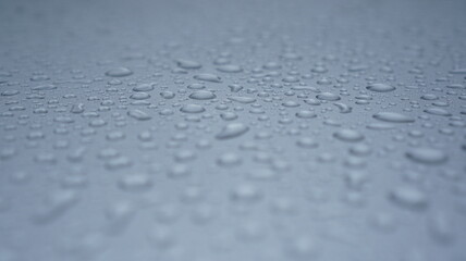 Rain drops of water in a surface of a window glass