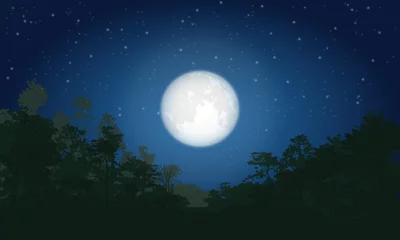 Tableaux ronds sur aluminium brossé Pleine Lune arbre Nuit dans la forêt