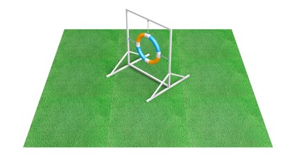 Dog Agility Equipment on Green Grass Isolated on White - Single Piece - Tire Jump