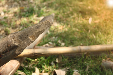 Log trunks pile, Forest pine and spruce trees.the logging timber forest wood industry. 
