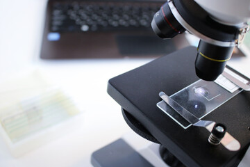 microscope, biology, education, magnification device, medical research