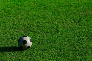 soccer ball on green grass