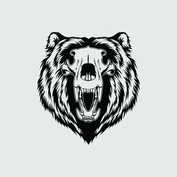 Bear Skull Images – Browse 7,333 Stock Photos, Vectors, and Video | Adobe  Stock