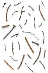 Scattering of various dry pine branches on a white background. Top view, flat lay, copy space.