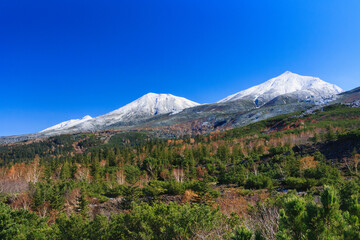 美瑛町　新雪と黄葉の山