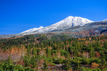 美瑛　新雪と黄葉の山