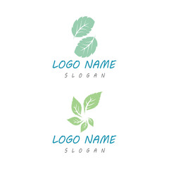 Mint leaves flat vector color icon template illustration design