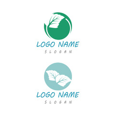 Mint leaves flat vector color icon template illustration design
