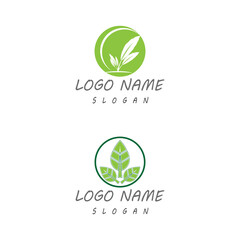 Leaf icon Vector Illustration design Logo template