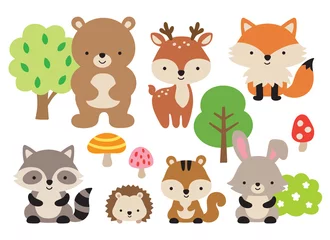 Fotobehang Bosdieren Vectorillustratie van schattige bosdieren, waaronder een beer, hert, vos, wasbeer, egel, eekhoorn en konijn.