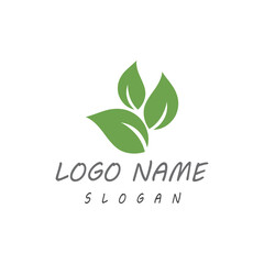 Leaf icon Vector Illustration design Logo template