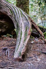 Wallace Falls State Park