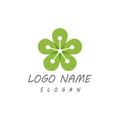 Beauty plumeria icon flowers design illustration Template