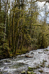 Wallace Falls State Park